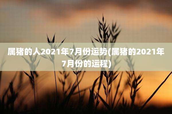 属猪的人2021年7月份运势(属猪的2021年7月份的运程)