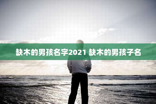 缺木的男孩名字2021 缺木的男孩子名