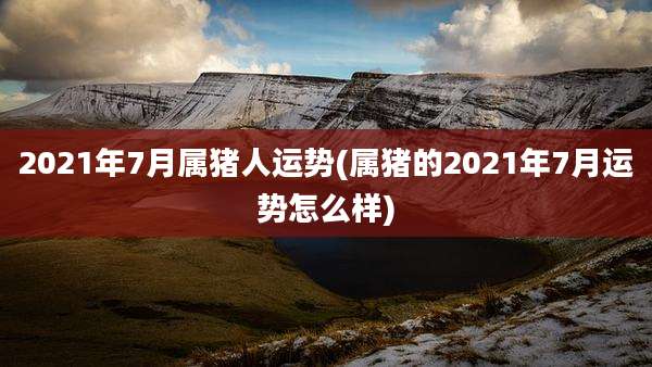 2021年7月属猪人运势(属猪的2021年7月运势怎么样)