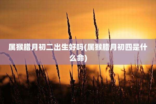 属猴腊月初二出生好吗(属猴腊月初四是什么命)
