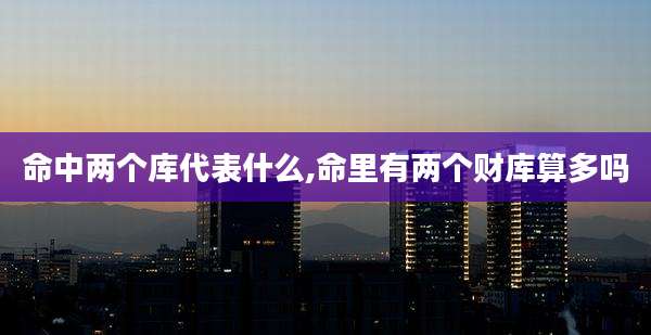 命中两个库代表什么,命里有两个财库算多吗