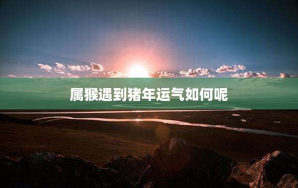 属猴遇到猪年运气如何呢
