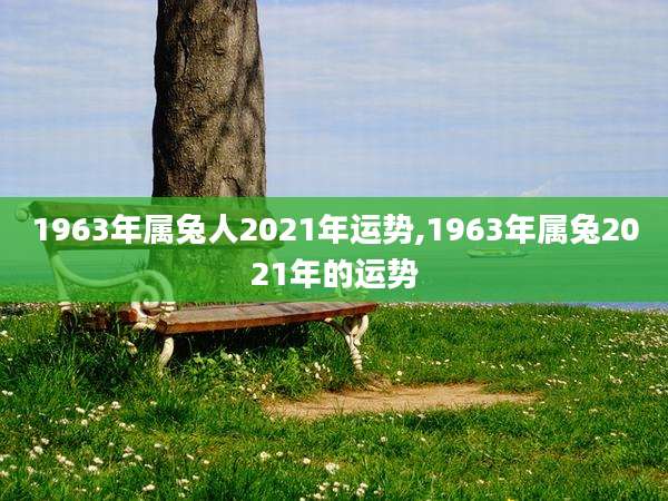 1963年属兔人2021年运势,1963年属兔2021年的运势