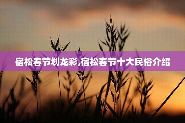 宿松春节划龙彩,宿松春节十大民俗介绍