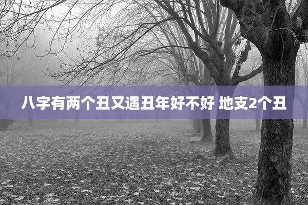 八字有两个丑又遇丑年好不好 地支2个丑