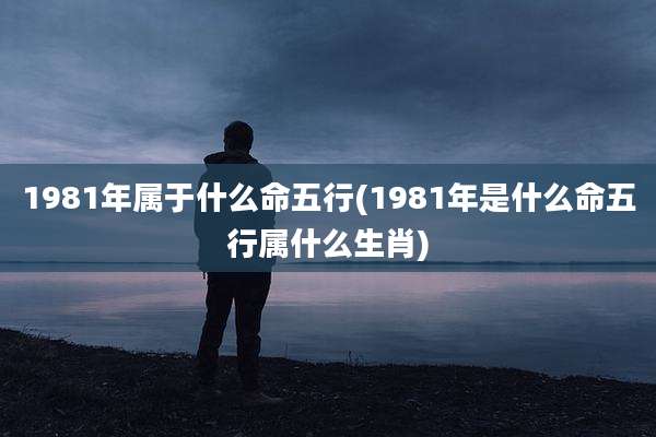 1981年属于什么命五行(1981年是什么命五行属什么生肖)