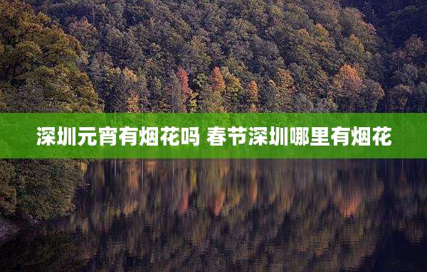 深圳元宵有烟花吗 春节深圳哪里有烟花