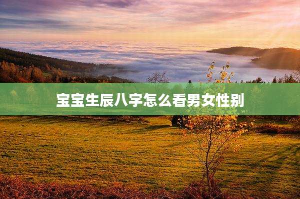 宝宝生辰八字怎么看男女性别