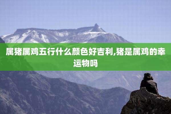 属猪属鸡五行什么颜色好吉利,猪是属鸡的幸运物吗