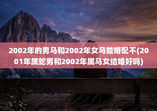 2002年的男马和2002年女马能婚配不(2001年属蛇男和2002年属马女结婚好吗)
