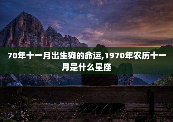 70年十一月出生狗的命运,1970年农历十一月是什么星座