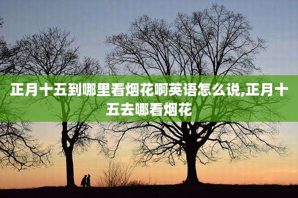 正月十五到哪里看烟花啊英语怎么说,正月十五去哪看烟花