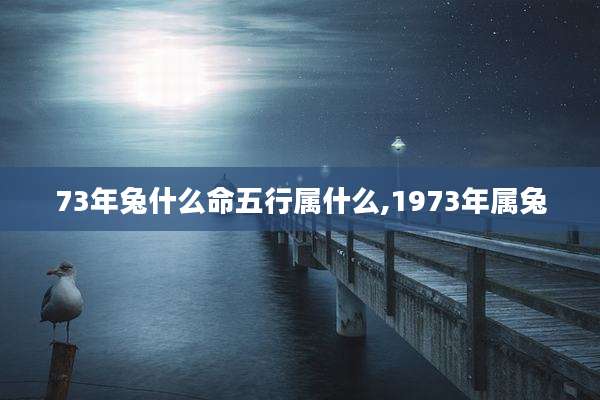 73年兔什么命五行属什么,1973年属兔