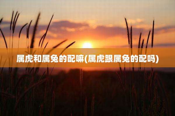 属虎和属兔的配嘛(属虎跟属兔的配吗)