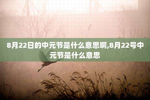 8月22日的中元节是什么意思啊,8月22号中元节是什么意思