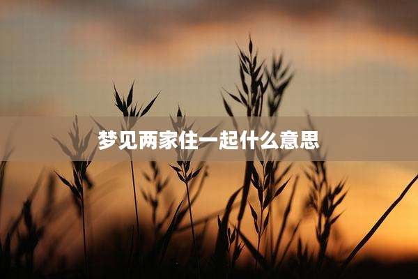 梦见两家住一起什么意思