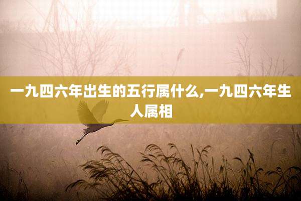 一九四六年出生的五行属什么,一九四六年生人属相
