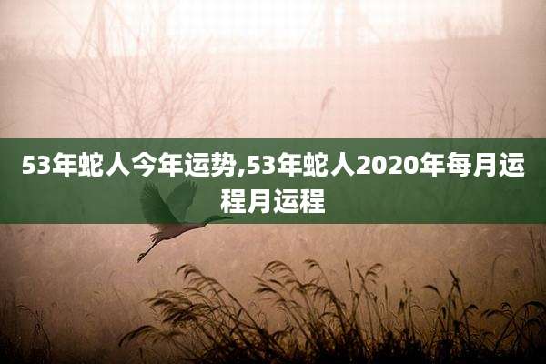 53年蛇人今年运势,53年蛇人2020年每月运程月运程