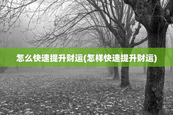 怎么快速提升财运(怎样快速提升财运)