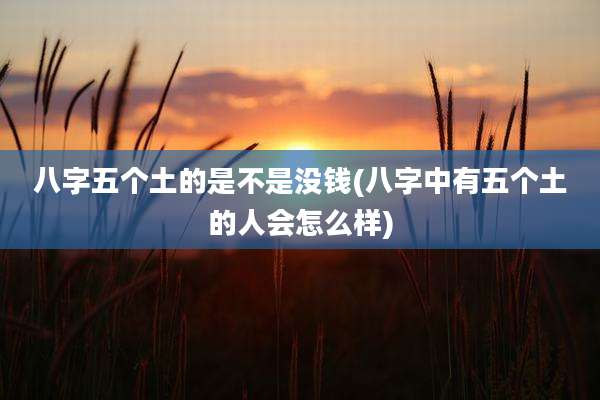 八字五个土的是不是没钱(八字中有五个土的人会怎么样)