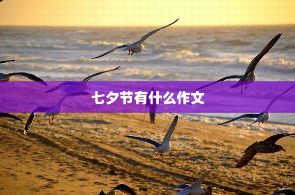 七夕节有什么作文
