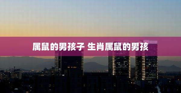 属鼠的男孩子 生肖属鼠的男孩
