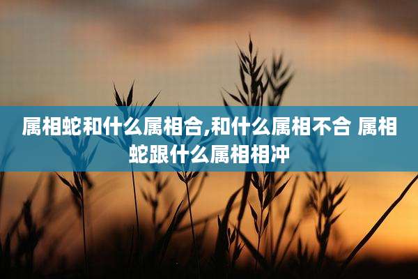属相蛇和什么属相合,和什么属相不合 属相蛇跟什么属相相冲