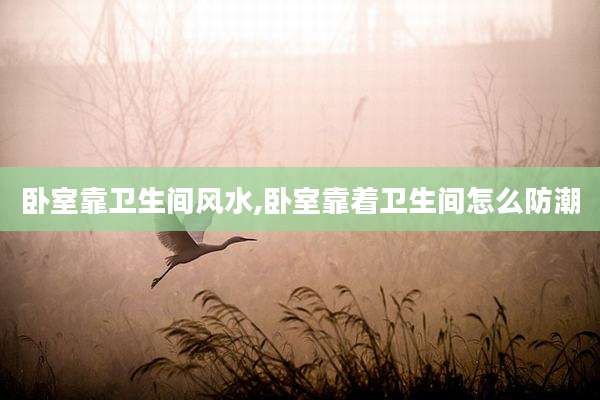 卧室靠卫生间风水,卧室靠着卫生间怎么防潮