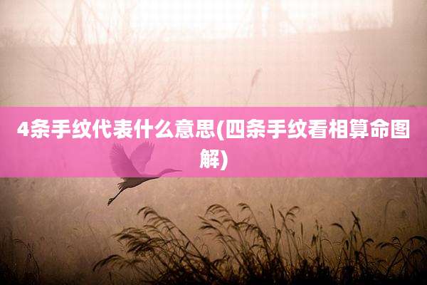 4条手纹代表什么意思(四条手纹看相算命图解)