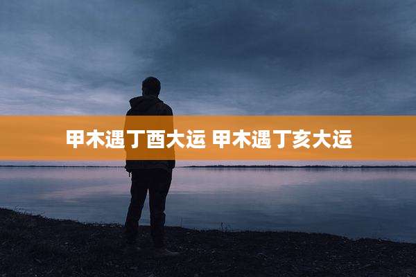 甲木遇丁酉大运 甲木遇丁亥大运