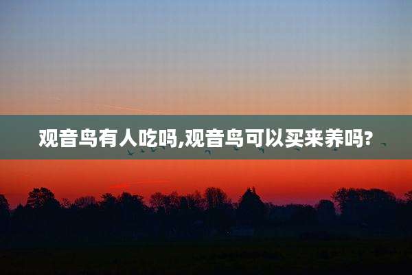观音鸟有人吃吗,观音鸟可以买来养吗?