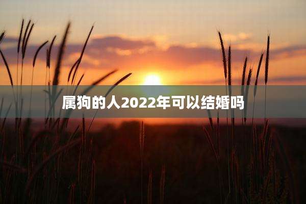 属狗的人2022年可以结婚吗