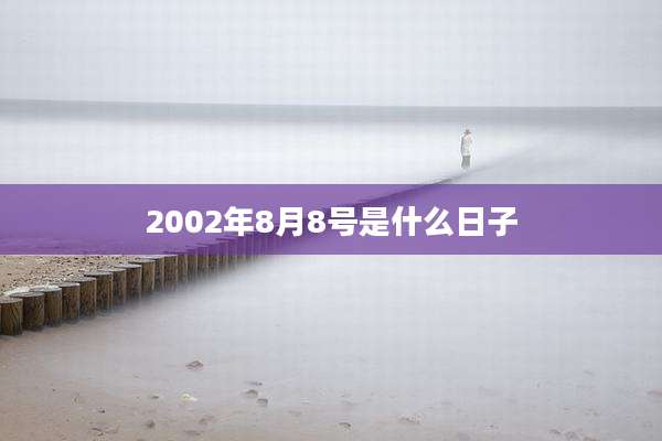 2002年8月8号是什么日子