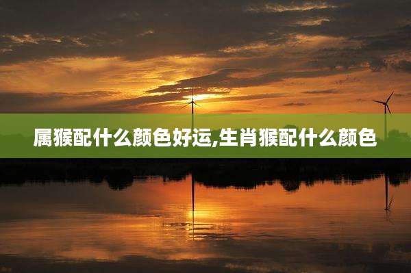 属猴配什么颜色好运,生肖猴配什么颜色