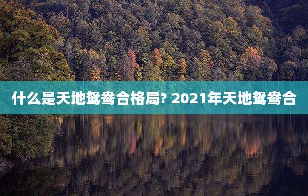 什么是天地鸳鸯合格局? 2021年天地鸳鸯合
