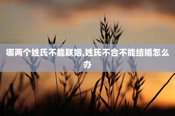 哪两个姓氏不能联姻,姓氏不合不能结婚怎么办