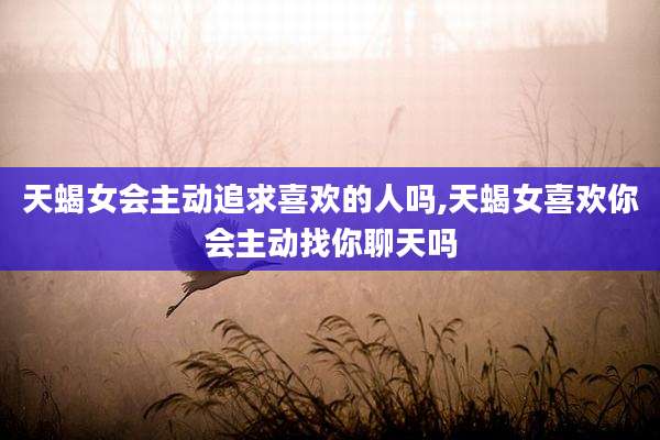 天蝎女会主动追求喜欢的人吗,天蝎女喜欢你会主动找你聊天吗