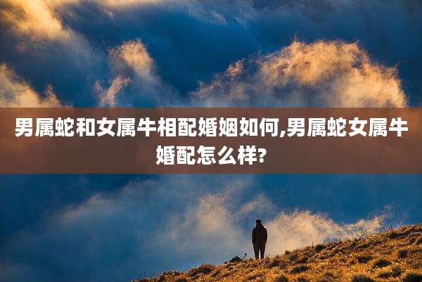 男属蛇和女属牛相配婚姻如何,男属蛇女属牛婚配怎么样?