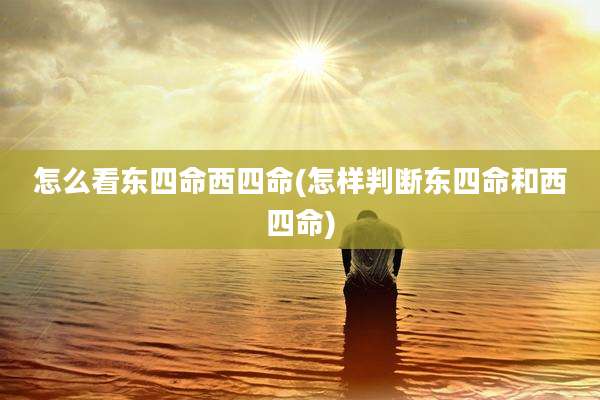怎么看东四命西四命(怎样判断东四命和西四命)