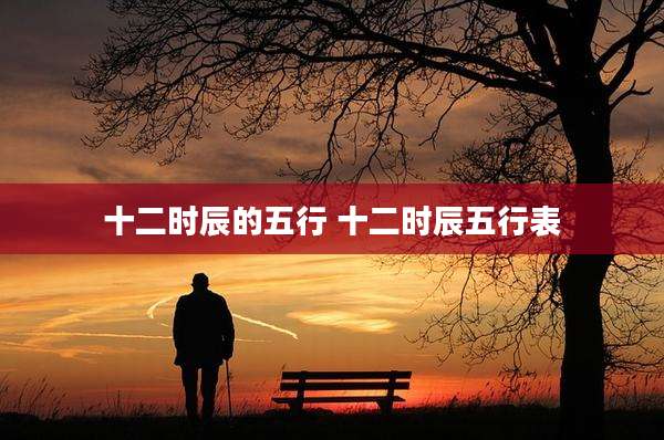 十二时辰的五行 十二时辰五行表