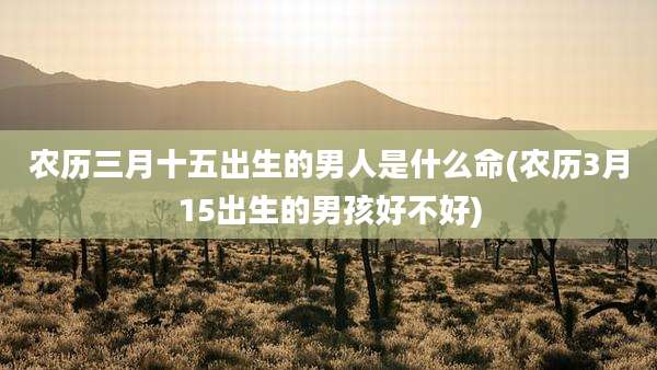 农历三月十五出生的男人是什么命(农历3月15出生的男孩好不好)