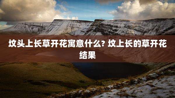 坟头上长草开花寓意什么? 坟上长的草开花结果