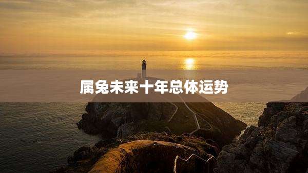 属兔未来十年总体运势