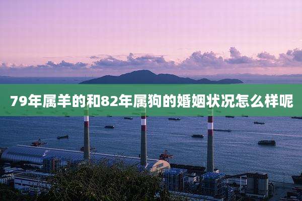 79年属羊的和82年属狗的婚姻状况怎么样呢