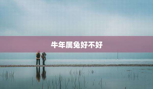 牛年属兔好不好