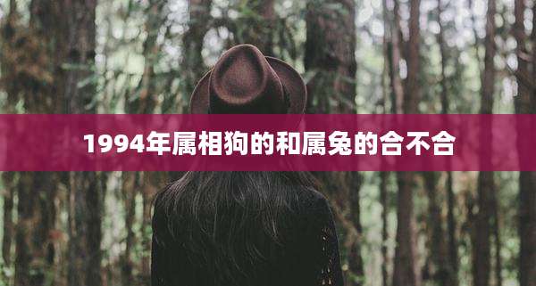 1994年属相狗的和属兔的合不合
