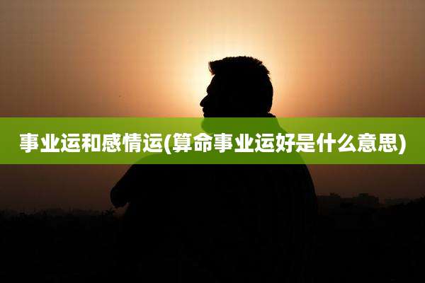 事业运和感情运(算命事业运好是什么意思)