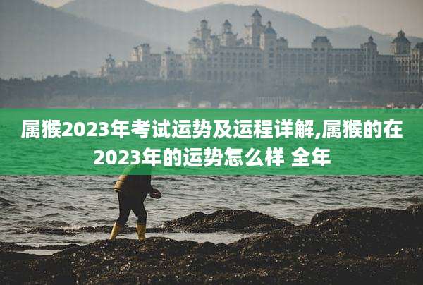 属猴2023年考试运势及运程详解,属猴的在2023年的运势怎么样 全年