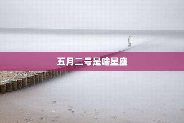 五月二号是啥星座