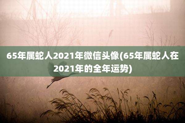 65年属蛇人2021年微信头像(65年属蛇人在2021年的全年运势)